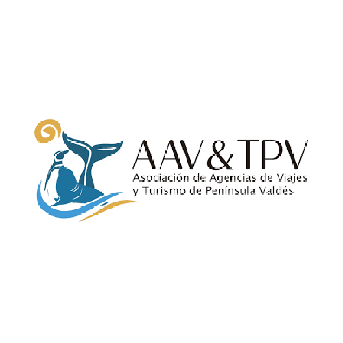 Logo 4